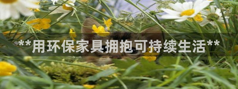 杏耀平台黑款