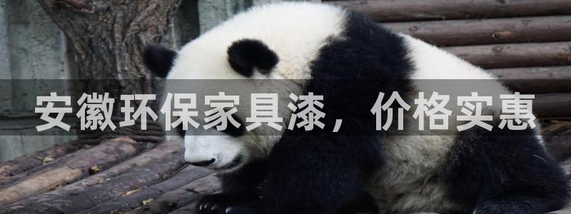 杏耀官网app