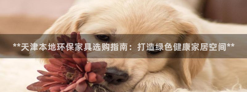 杏耀平台在哪里