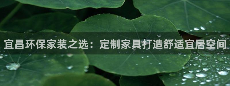 杏耀软件