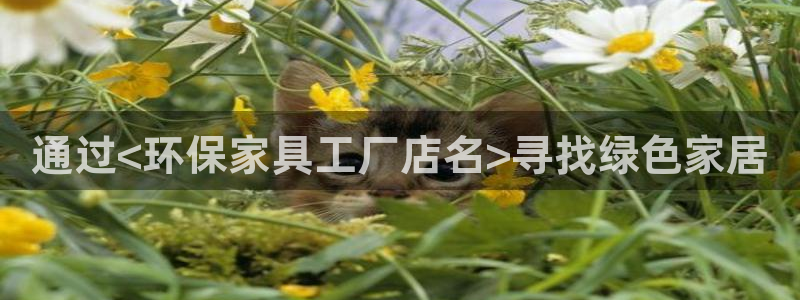 杏耀平台在哪里