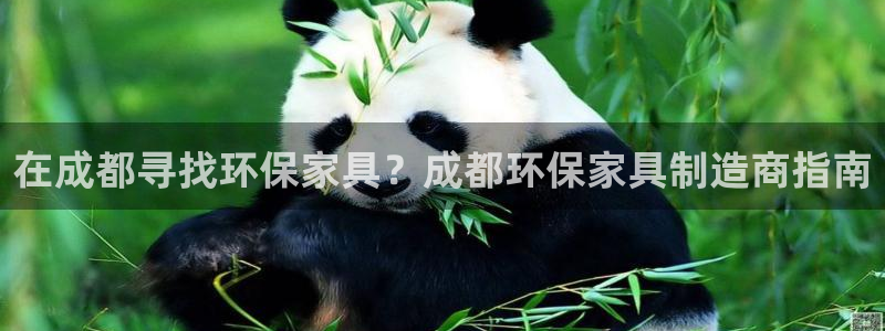 杏耀代理日工资多少
