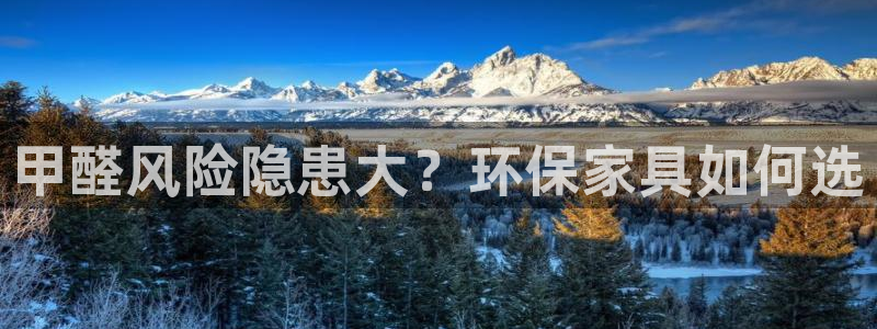杏耀代理主管qq