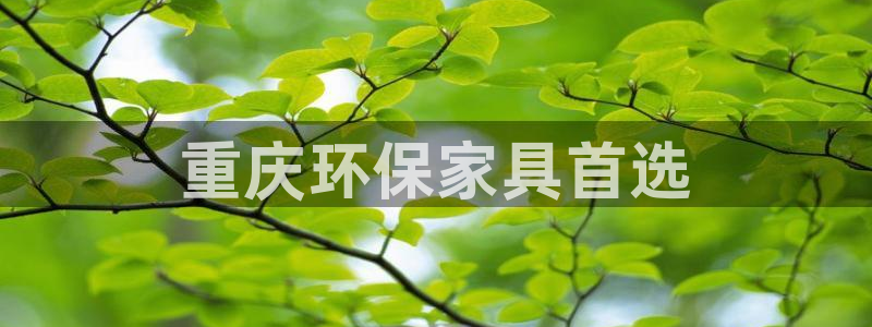 杏耀平台待遇