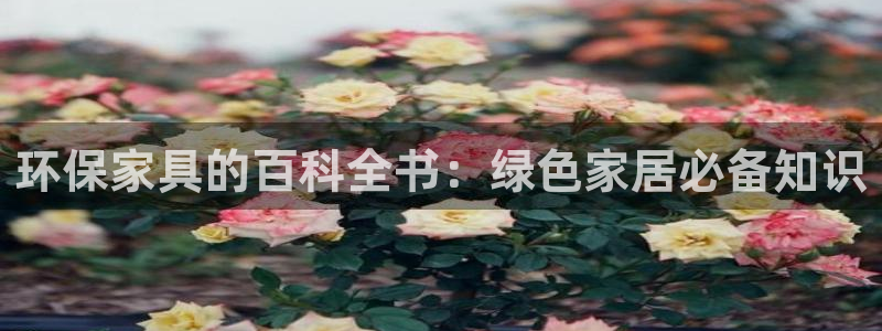 杏耀平台登陆测速