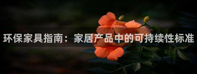 杏耀测速娱乐