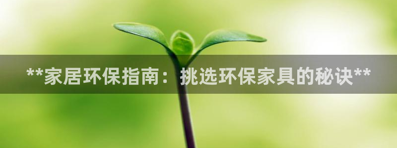 杏耀登陆电脑线路测速