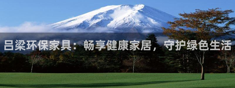 杏耀软件