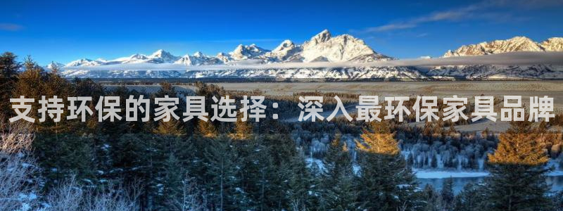杏耀app怎样申请退款