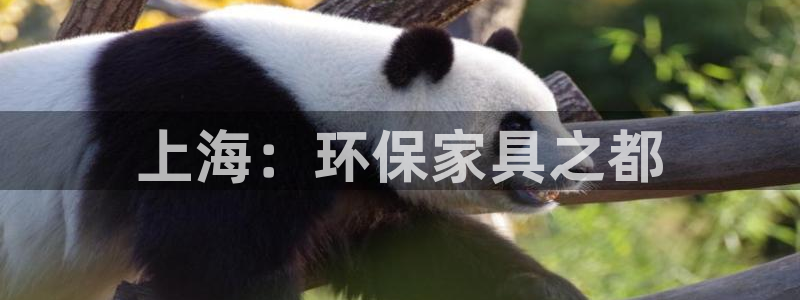 杏耀平台主管