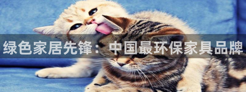 杏耀主管qq
