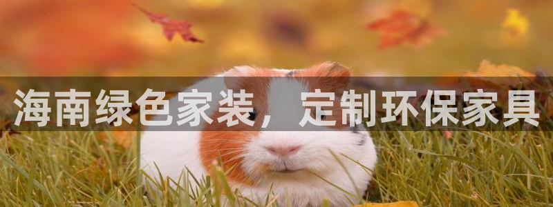 杏耀平台登陆地址