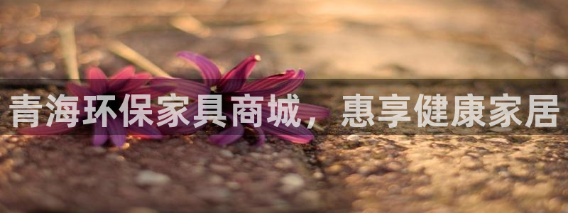 杏耀代理1980：青海环保家具商城，惠享健康家居