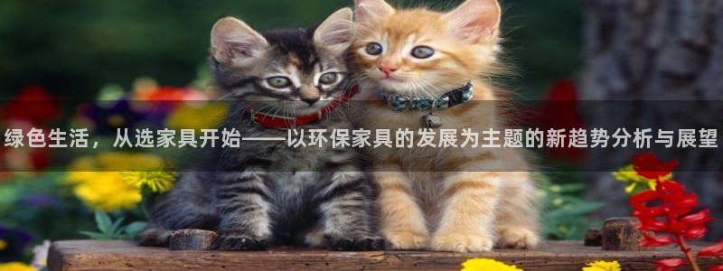 杏耀平台正规么：绿色生活，从选家具开始——以环保家具的发展为