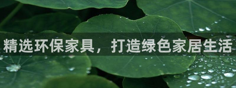 杏耀平台手机登录：精选环保家具，打造绿色家居生活
