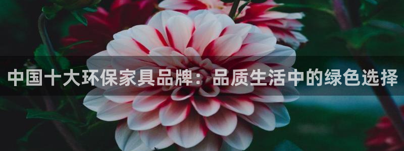 杏耀总代理