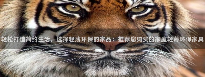 杏耀平台测速地址：轻松打造简约生活，选择轻薄环保的家品：推荐