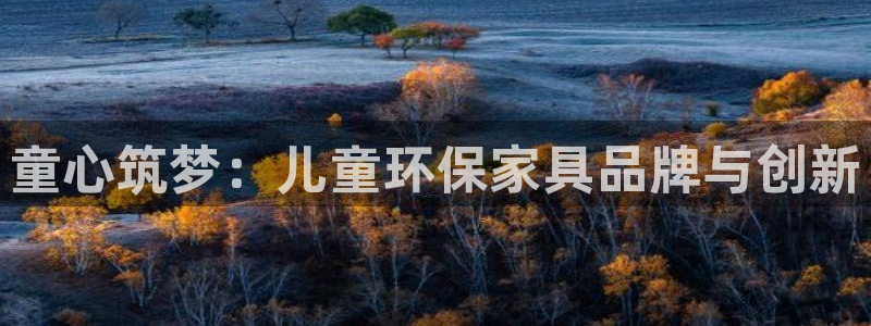 杏耀平台手机app：童心筑梦：儿童环保家具品牌与创新