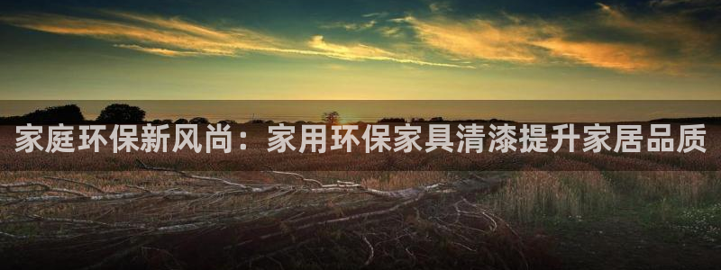 杏耀平台手机：家庭环保新风尚：家用环保家具清漆提升家居品质