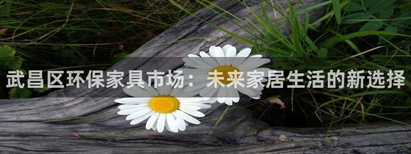 杏耀平台指定：武昌区环保家具市场：未来家居生活的新选择