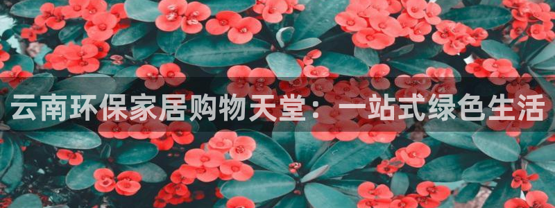 杏耀总代理