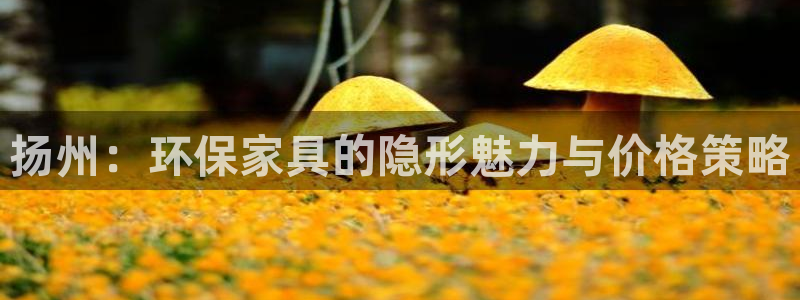 杏耀平台黑款
