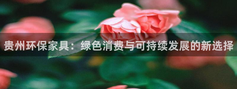 杏耀平台手机：贵州环保家具：绿色消费与可持续发展的新选择