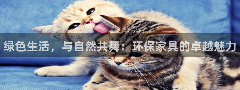 杏耀平台服务中心：绿色生活，与自然共舞：环保家具的卓越魅力