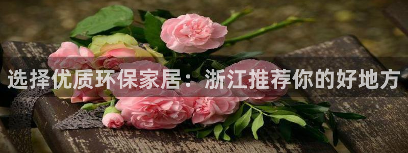 杏耀注册杏耀登陆：选择优质环保家居：浙江推荐你的好地方