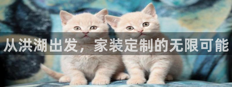 杏耀总代理