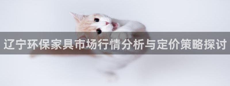 杏耀总代理：辽宁环保家具市场行情分析与定价策略探讨
