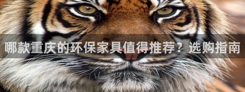 杏耀平台娱乐登陆：哪款重庆的环保家具值得推荐？选购指南
