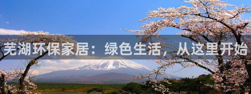 杏耀登入测速：芜湖环保家居：绿色生活，从这里开始
