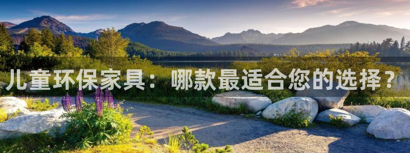 杏耀官方测速：儿童环保家具：哪款最适合您的选择？