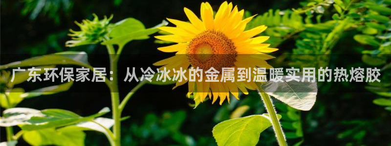 杏耀app怎样申请退款：广东环保家居：从冷冰冰的金属到温暖实