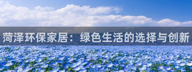 杏耀平台怎么样?：菏泽环保家居：绿色生活的选择与创新