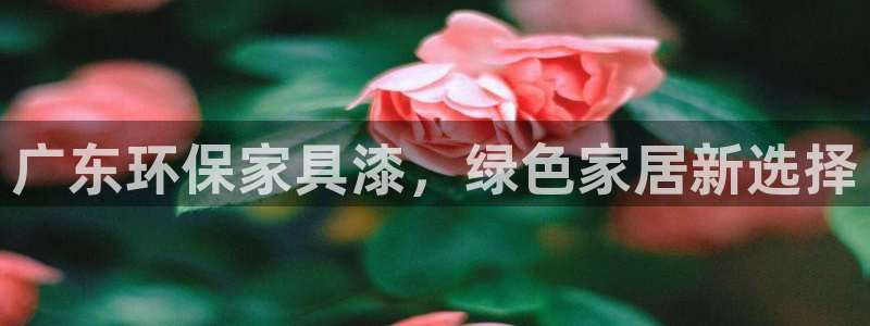 杏耀平台的专用通道