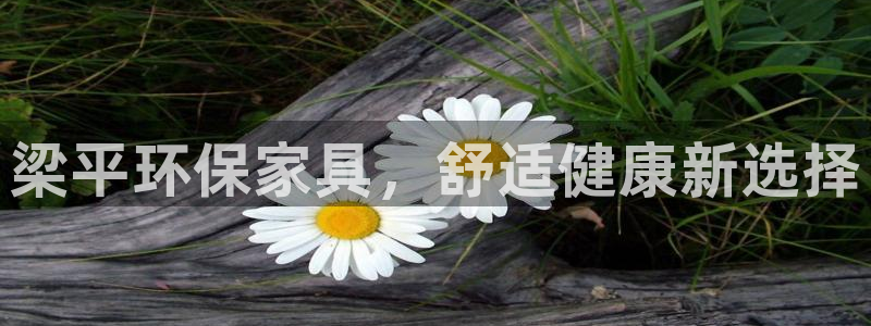 杏耀手机登录线路测速：梁平环保家具，舒适健康新选择