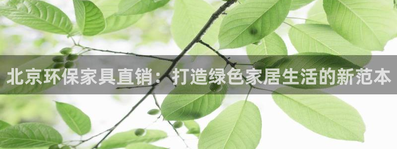 杏耀平台登录方式：北京环保家具直销：打造绿色家居生活的新范本