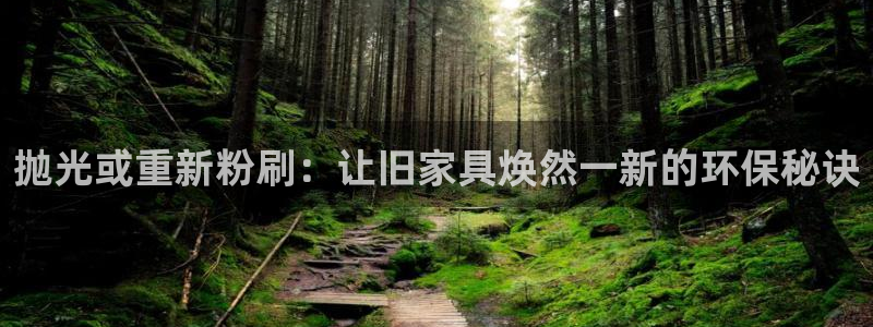 杏耀平台代理怎么赚钱的