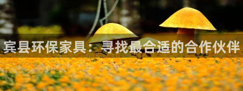 杏耀登录网页：宾县环保家具：寻找最合适的合作伙伴