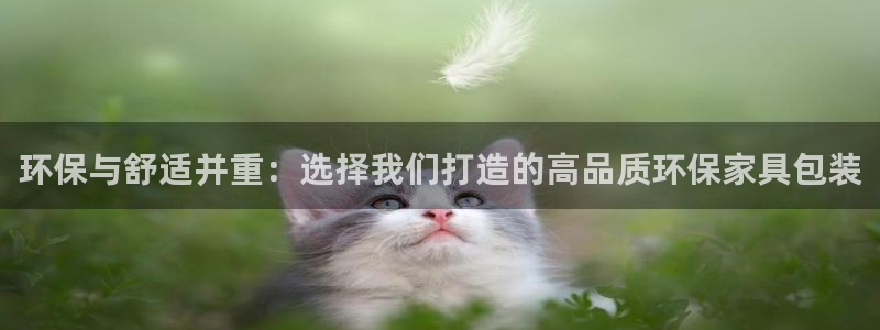 杏耀app怎样申请：环保与舒适并重：选择我们打造的高品质环保