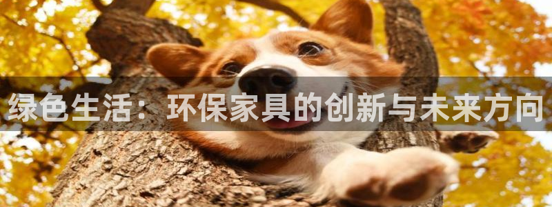 杏耀平台到底能玩吗