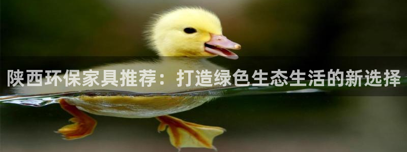 杏耀平台代理怎么赚钱：陕西环保家具推荐：打造绿色生态生活的新