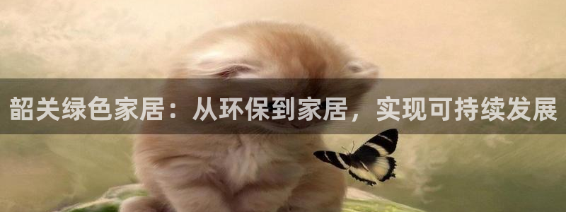 杏耀测速登录地址：韶关绿色家居：从环保到家居，实现可持续发展